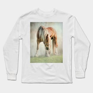 Gypsy in the morning mist Long Sleeve T-Shirt